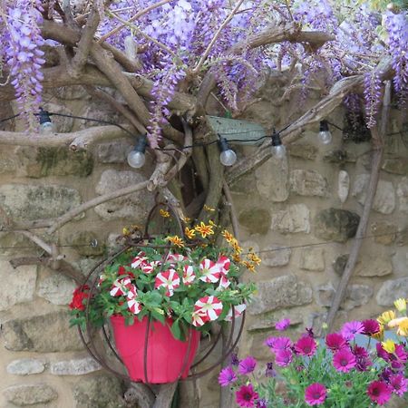 La Maison Wisteria Saint-Pantaléon-les-Vignes Kültér fotó